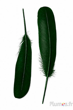 Cigno seta - 25-30 cm - verde abete